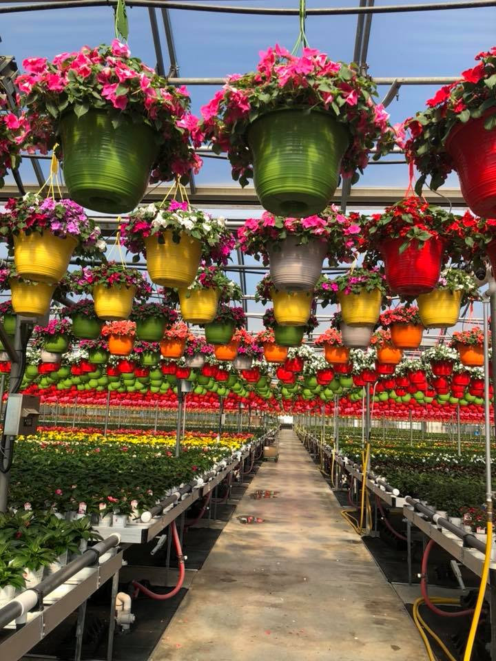 Planters